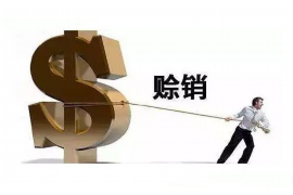 山阳山阳的要账公司在催收过程中的策略和技巧有哪些？